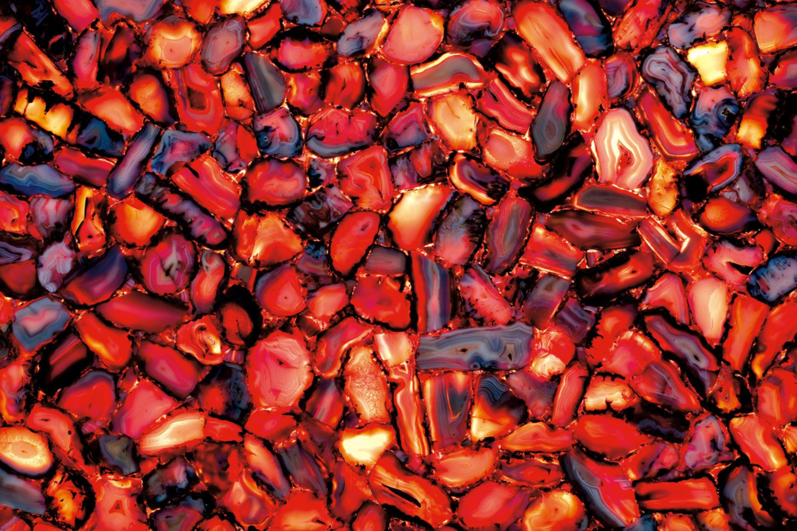 Close-up - Backlit
